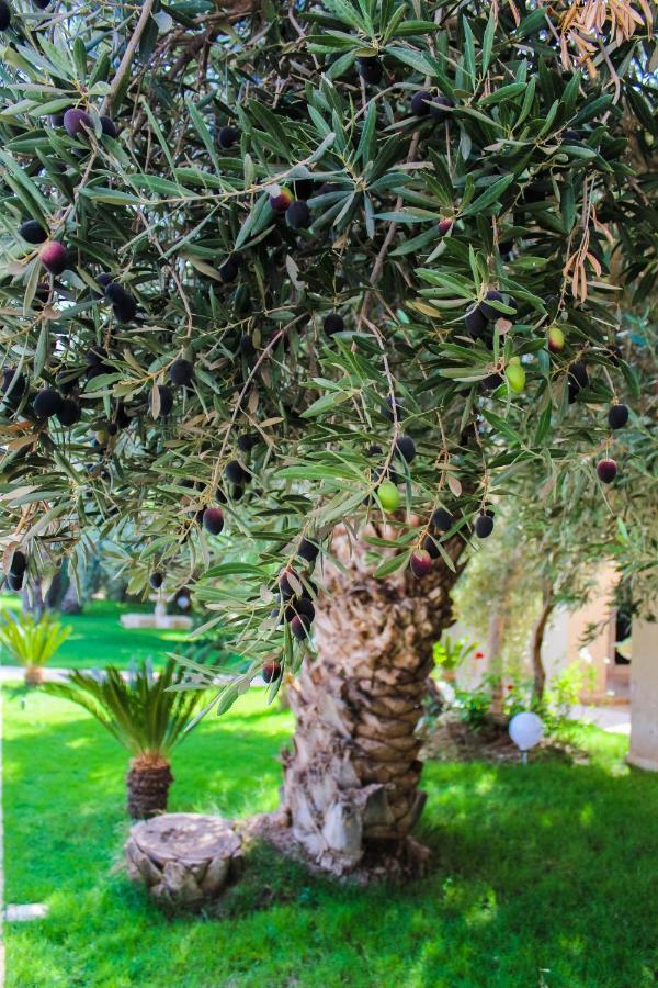 Riad le Jasmin Taroudant Extérieur photo