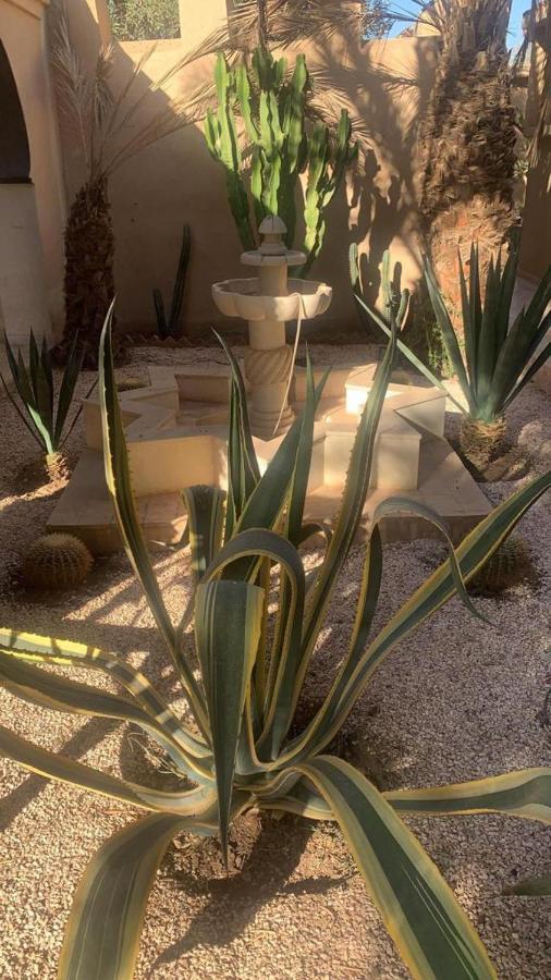 Riad le Jasmin Taroudant Extérieur photo