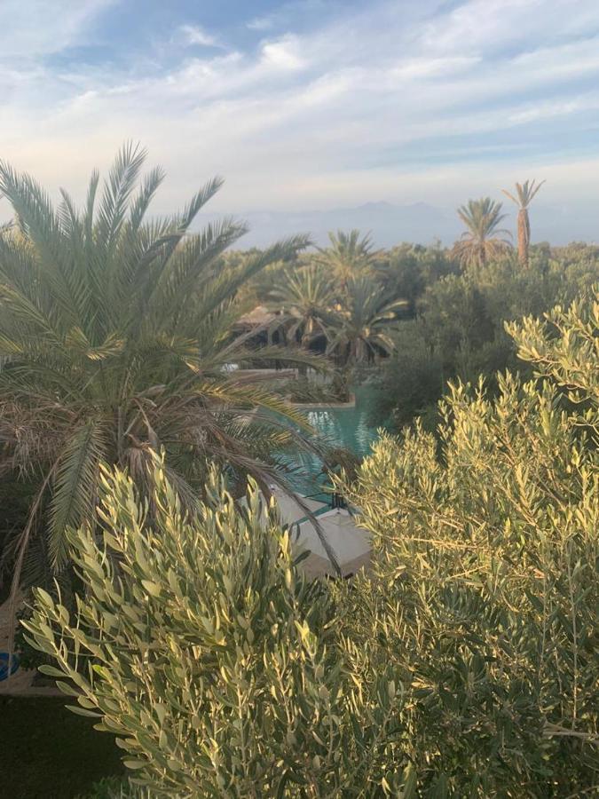 Riad le Jasmin Taroudant Extérieur photo