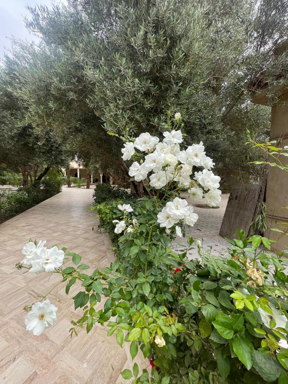 Riad le Jasmin Taroudant Extérieur photo
