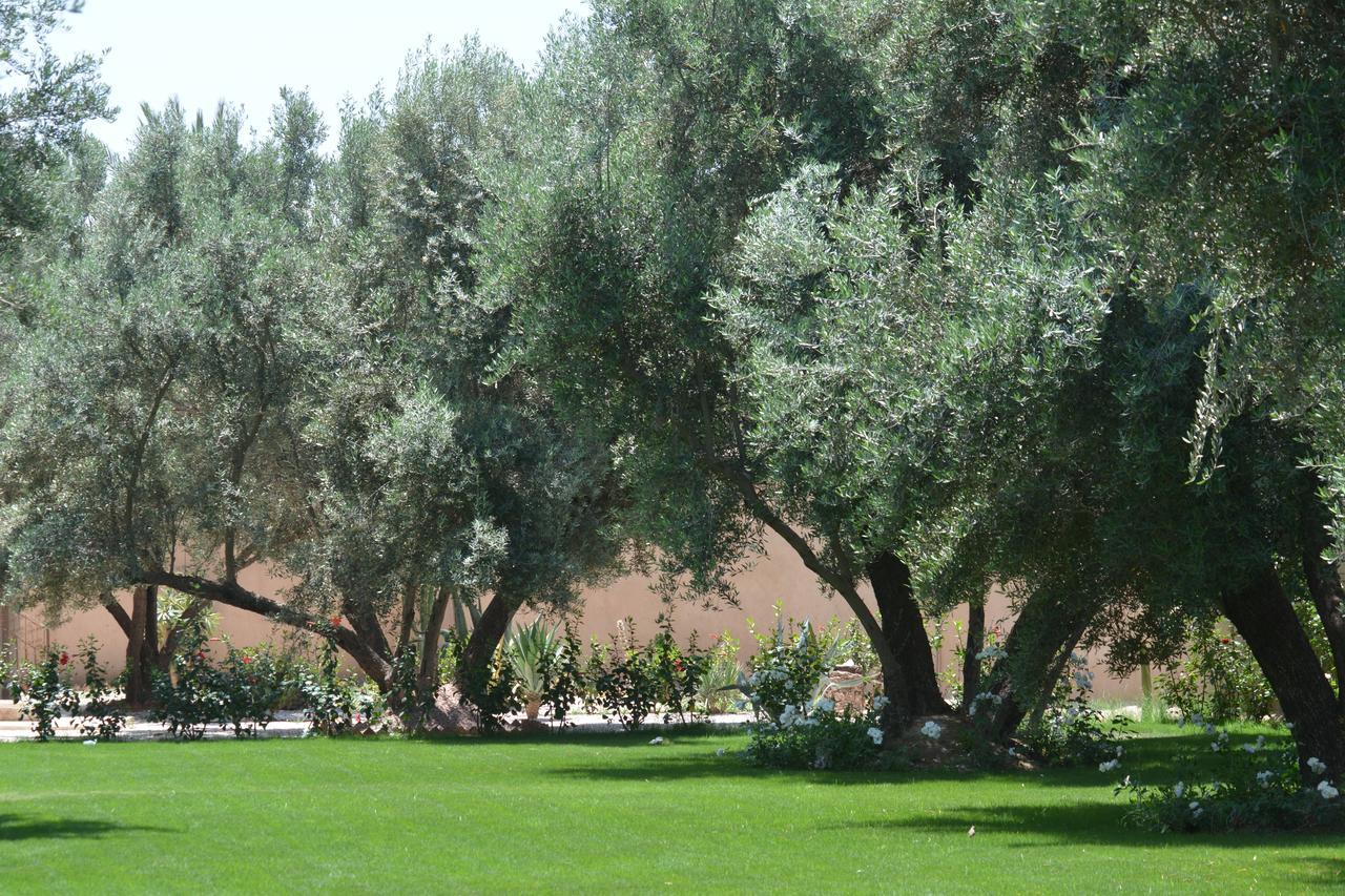 Riad le Jasmin Taroudant Extérieur photo