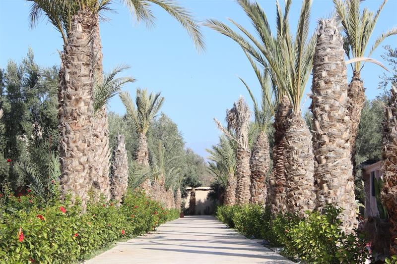 Riad le Jasmin Taroudant Extérieur photo